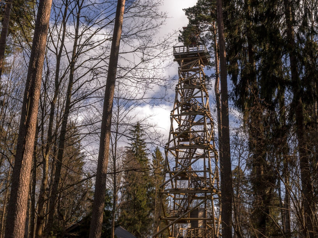 Aluksne Watchtower