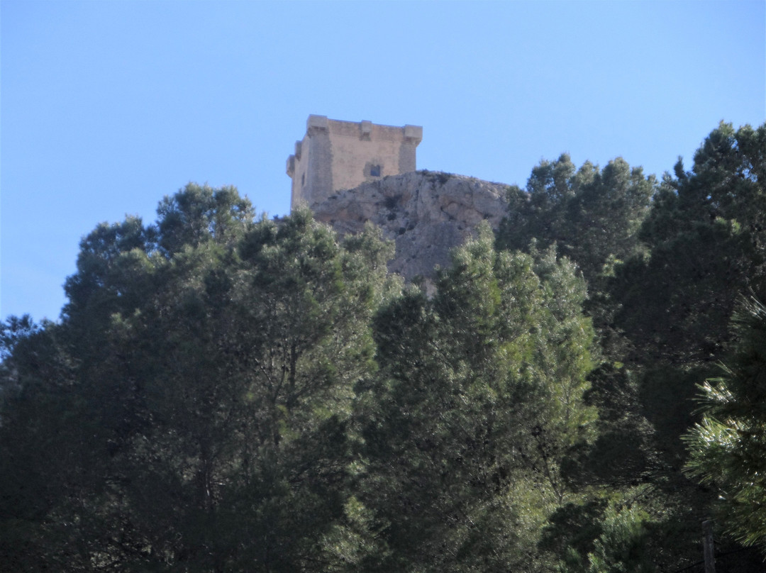 Castillo de Cocentaina景点图片