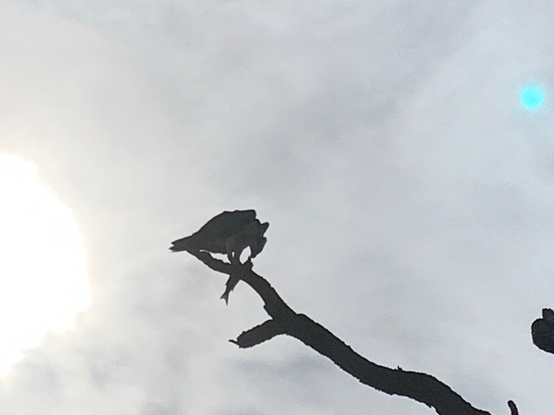 Neal Preserve-布雷登顿必去景点