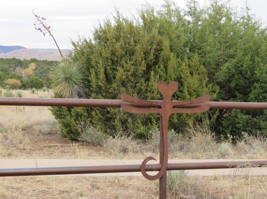 The Dragonfly Trail-Silver City必去景点