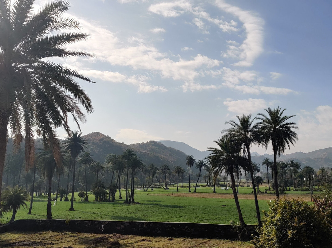 The Rukmani Bagh主图