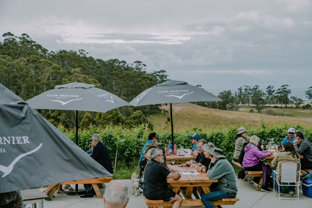 Cape Bernier Vineyard景点图片