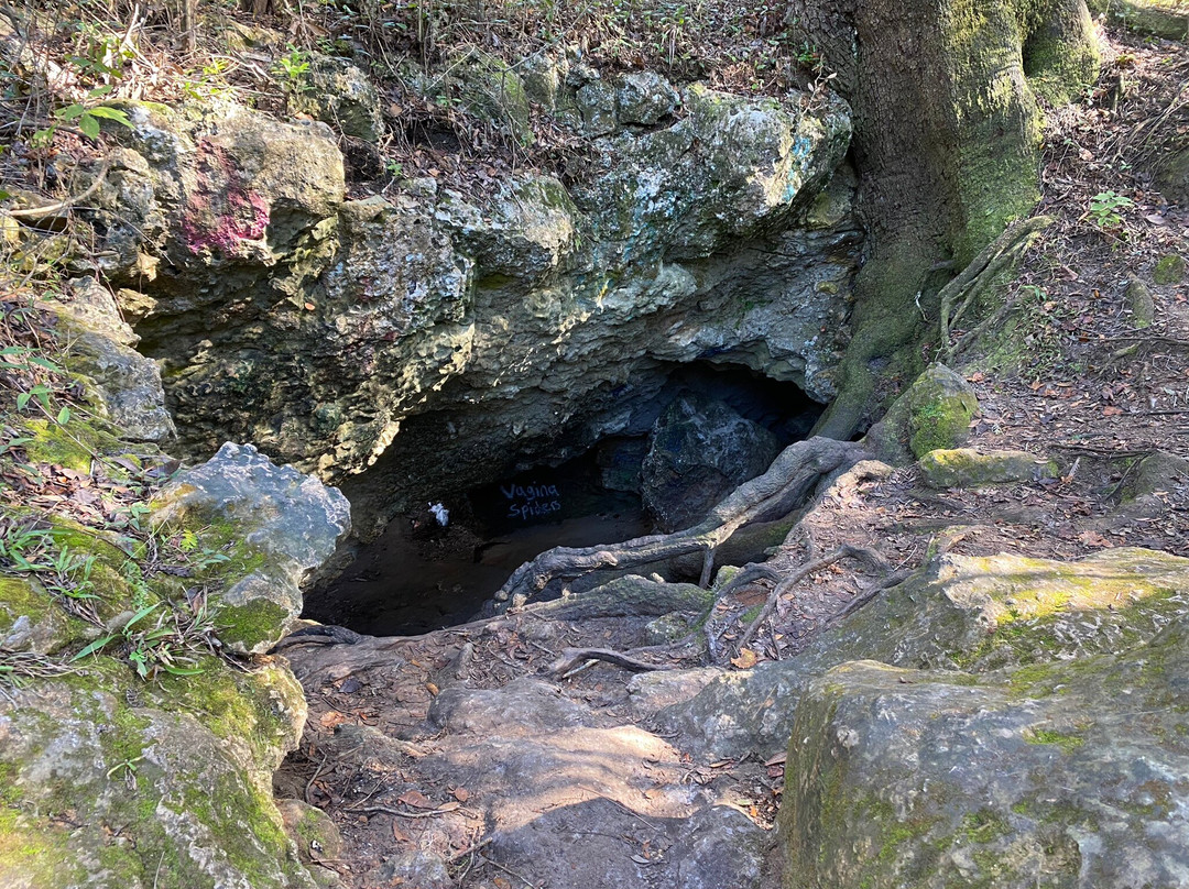 Dames Cave-Lecanto必去景点