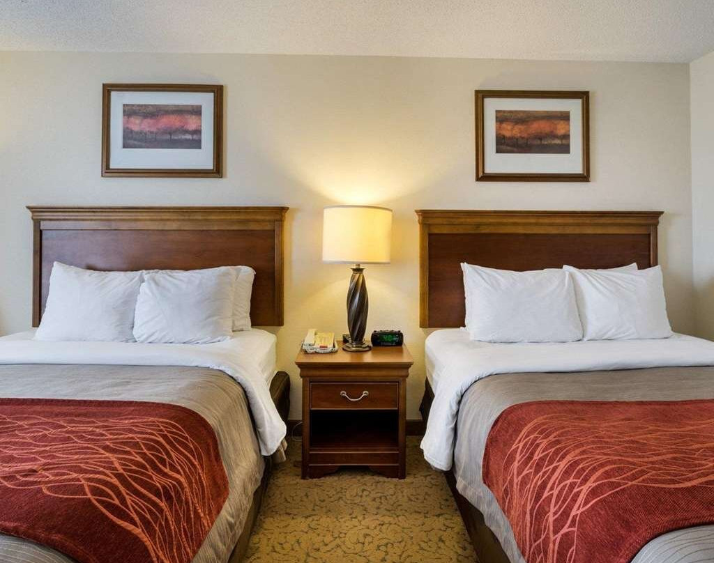 Comfort Inn & Suites Dover主图