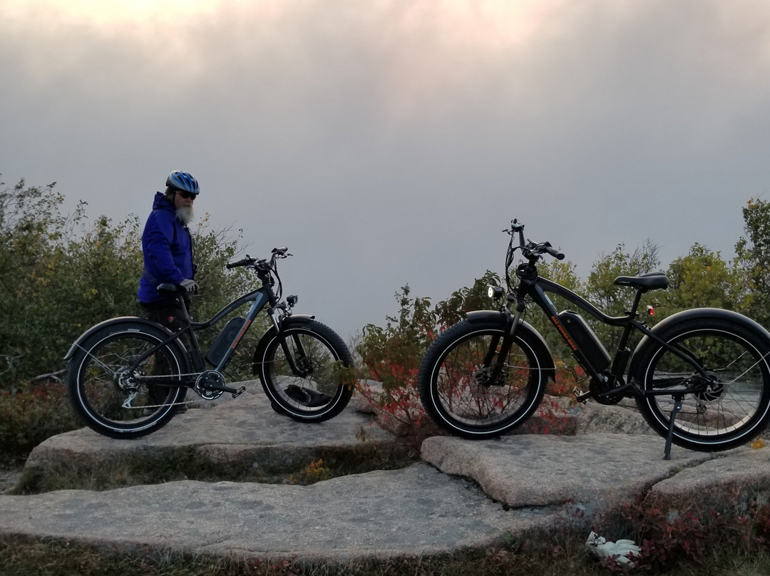 Island Time e-bike tours and rentals景点图片