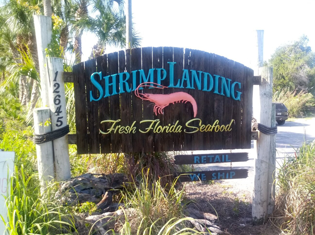 Shrimp Landing