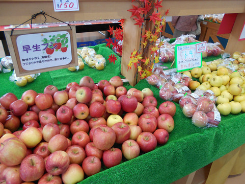 Michi-no-Eki Meruhen Oyabe-小矢部市必去景点