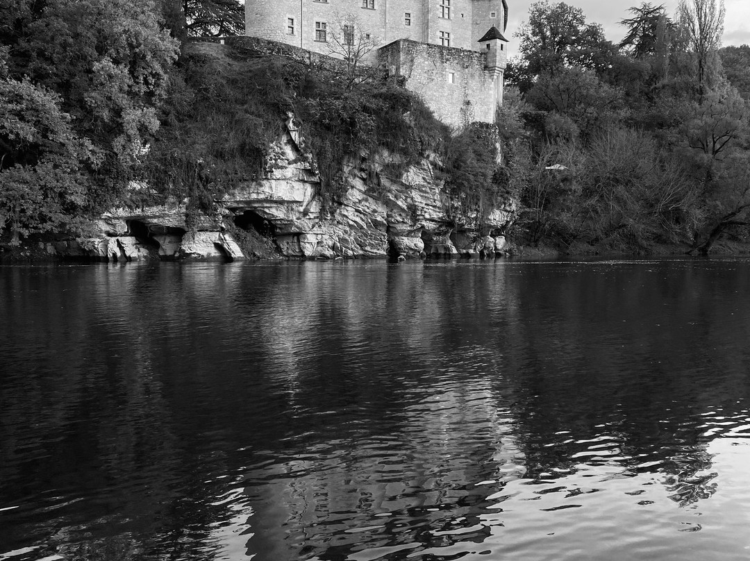 Chateau De La Treyne主图
