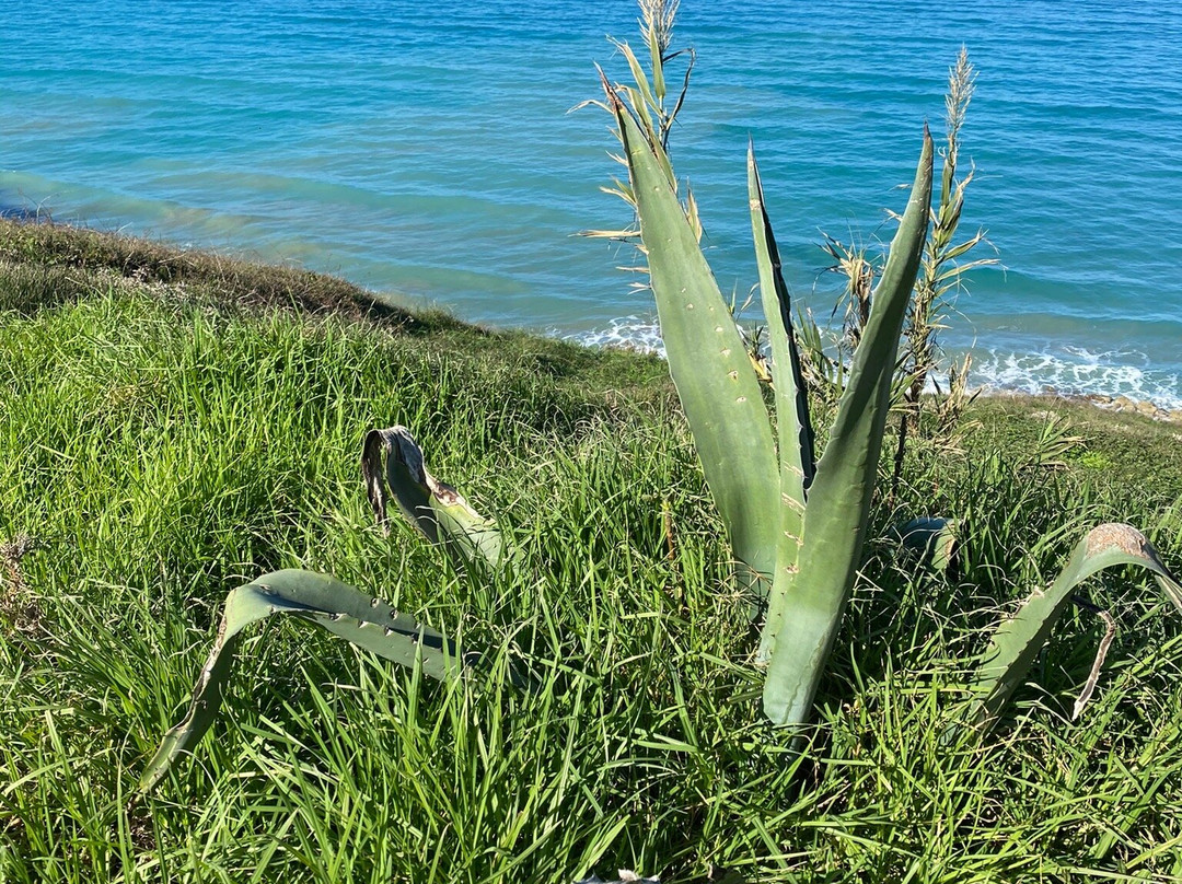 Loggas Beach-Peroulades必去景点