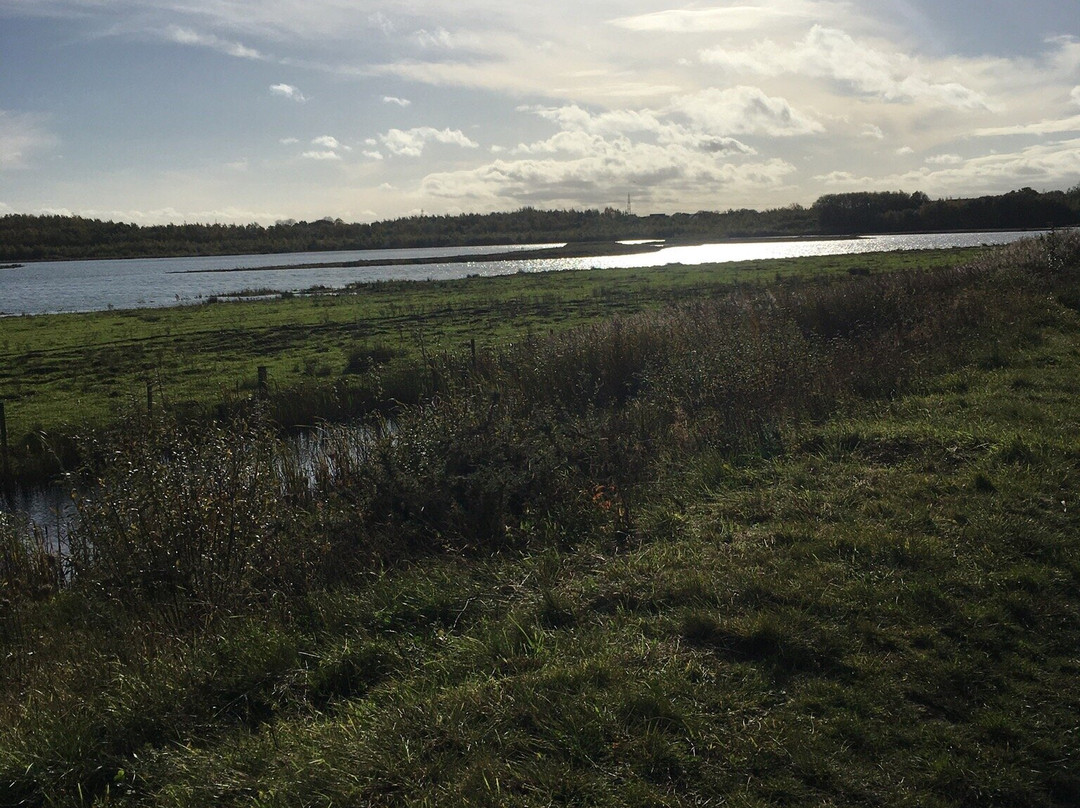 RSPB St Aidan's nature park景点图片