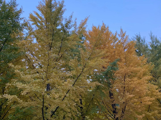 雁栖湖-北京市必去景点