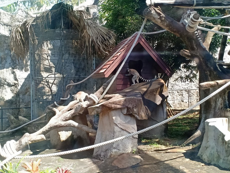 Songkhla Zoo景点图片