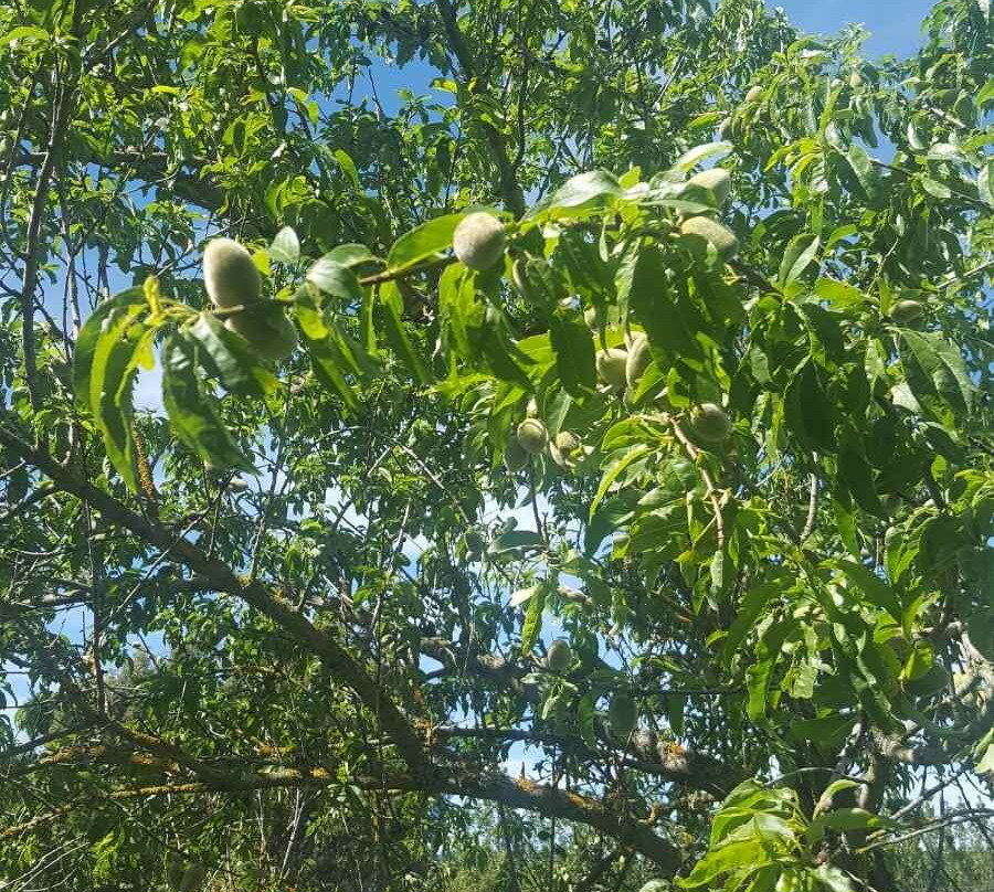 Martinborough Manor景点图片