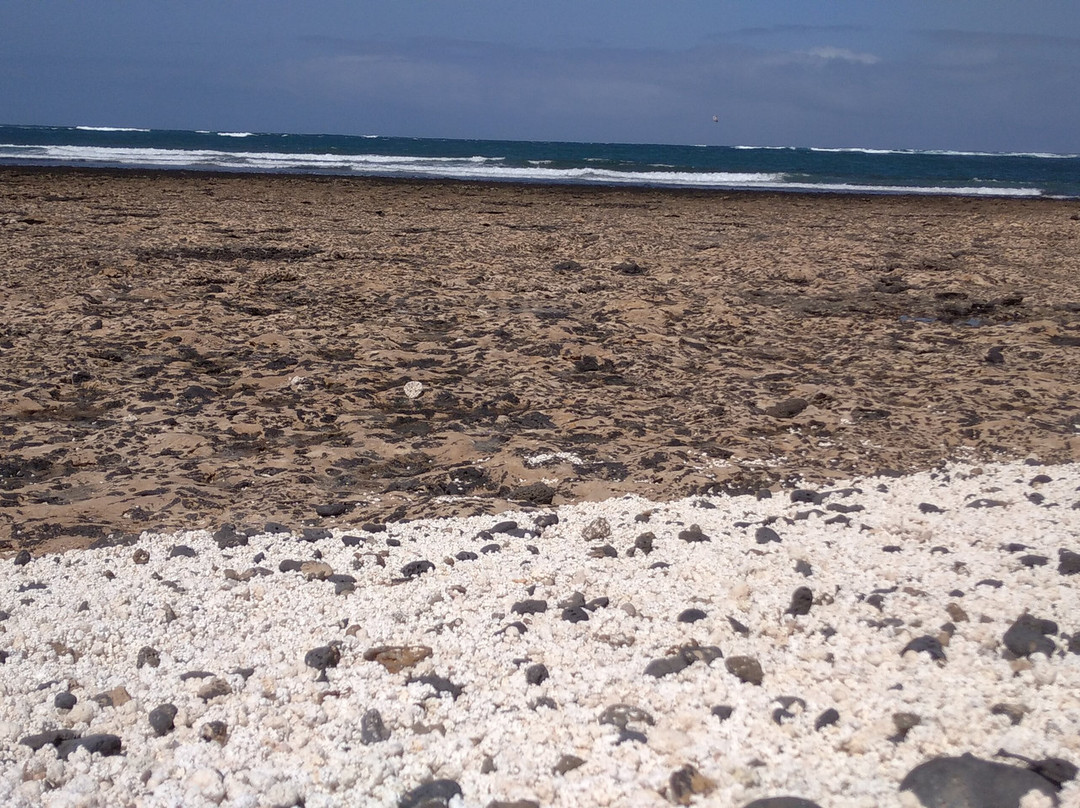 Majanicho Beach-富特文图拉必去景点
