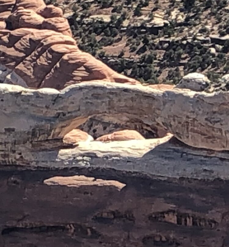 Redtail Air Adventures-莫阿布必去景点