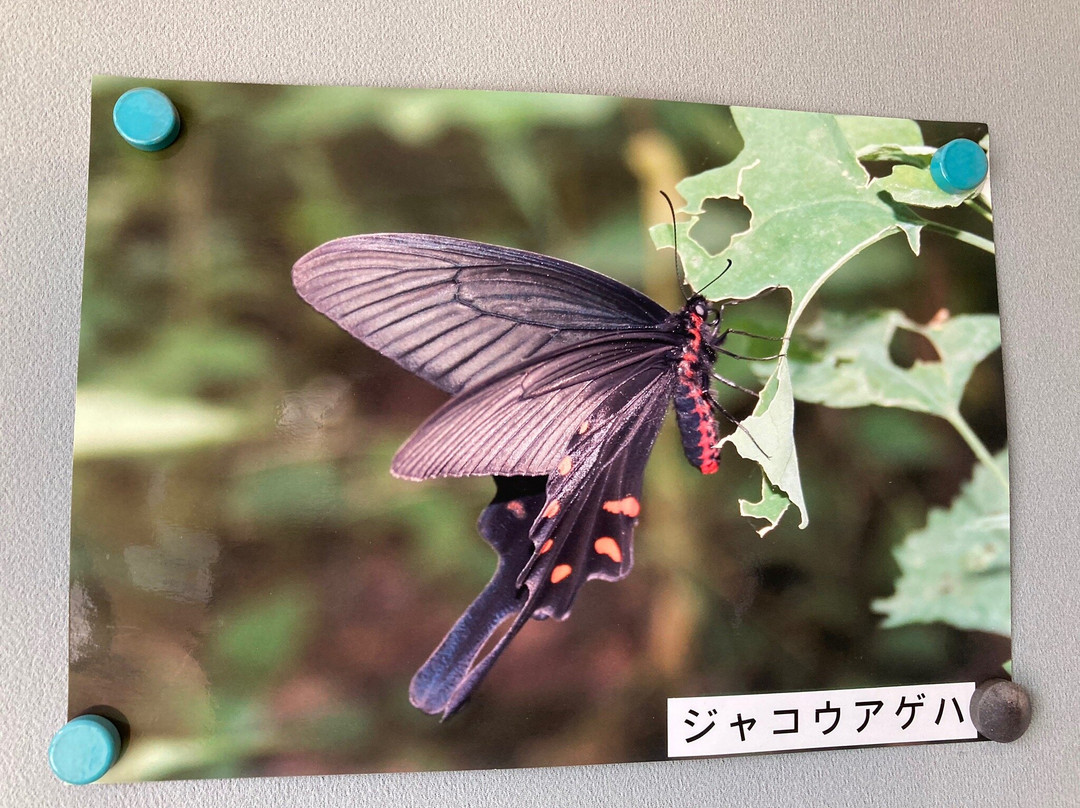 Ageo City Nature Learning Museum-上尾市必去景点