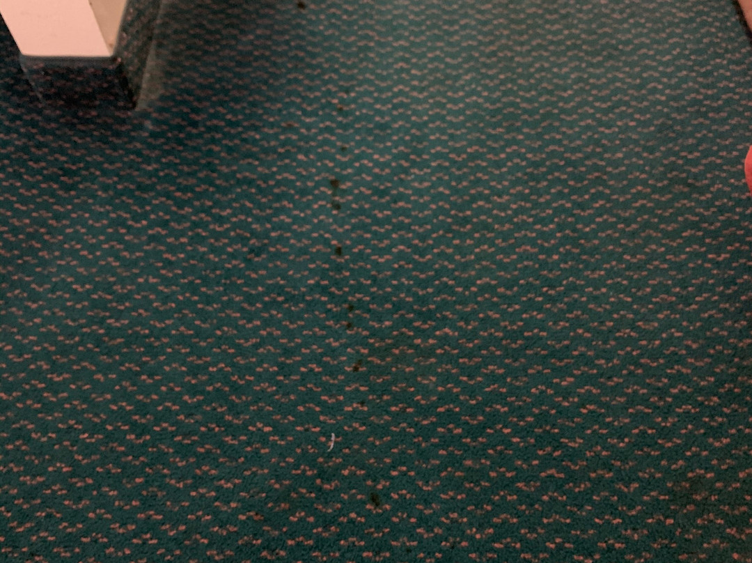 Super 8 by Wyndham Montgomery I-65主图