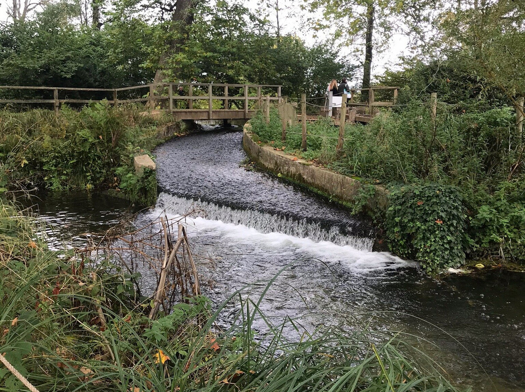 Mottisfont Abbey景点图片