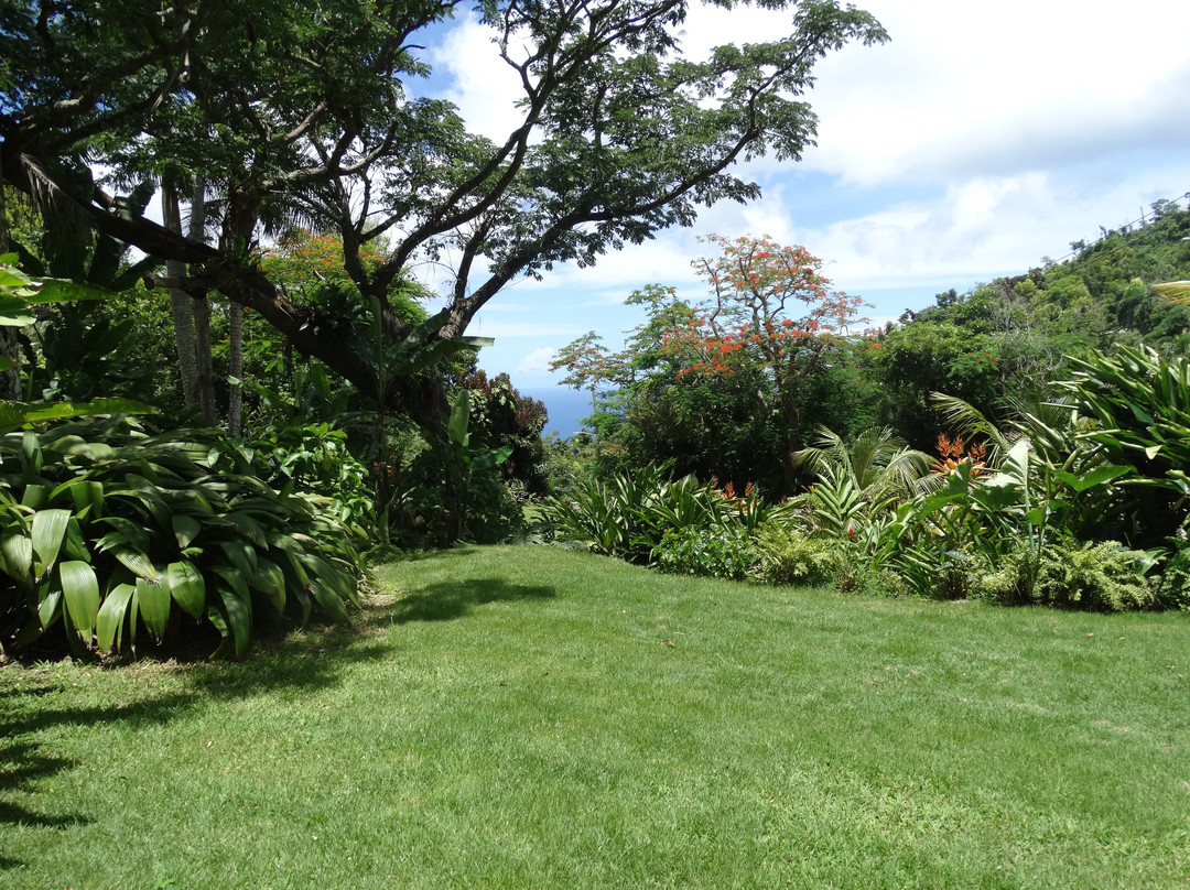 Plantation Crown and Hawk Botanical Garden-圣 托马斯必去景点