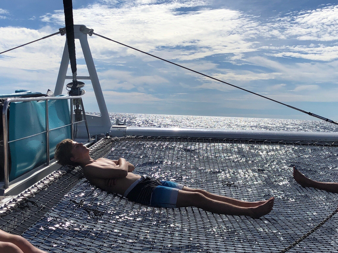 CT .com-威廉斯塔德必去景点