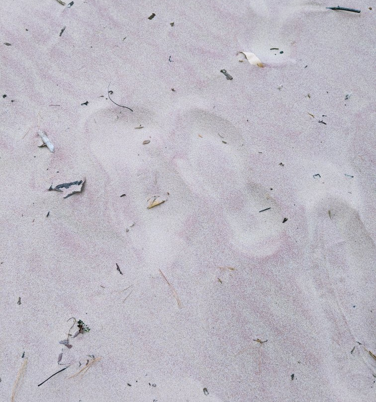 Sand Point Beach-缪尼辛必去景点