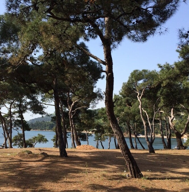 Alman Koyu-Heybeliada必去景点