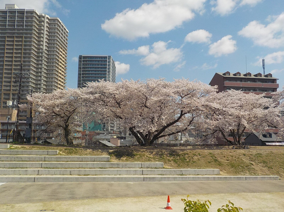 Kusatsugawa Atochi Park-草津市必去景点