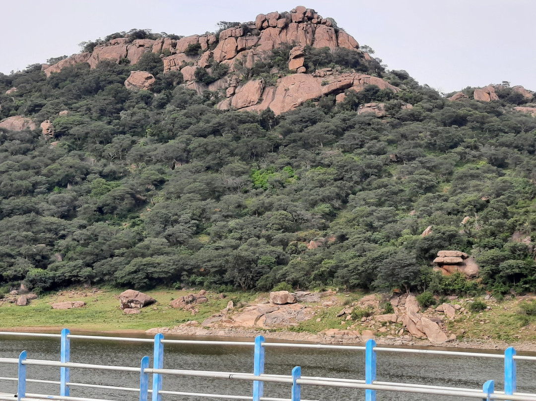 Panchapalli Dam-Hosur必去景点