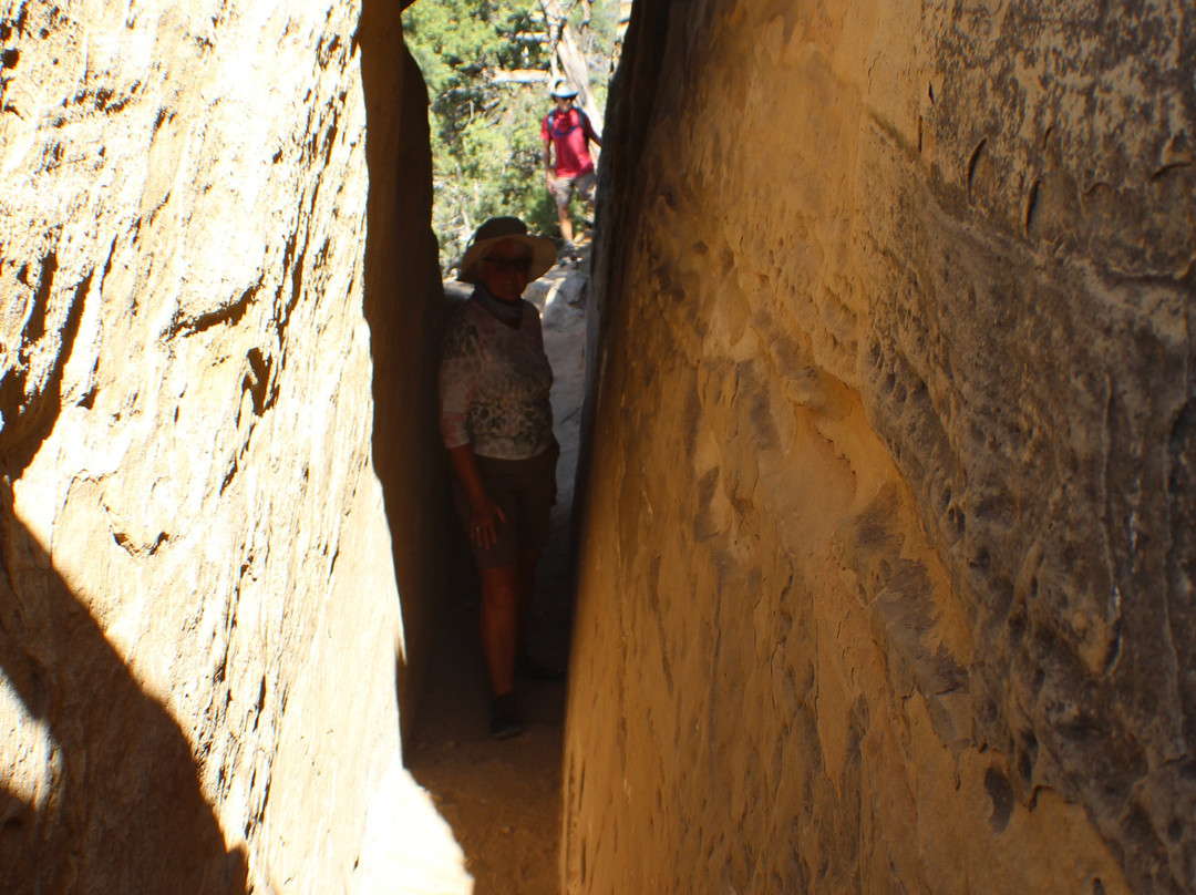 Petroglyph Point Hike-梅萨维德国家公园必去景点