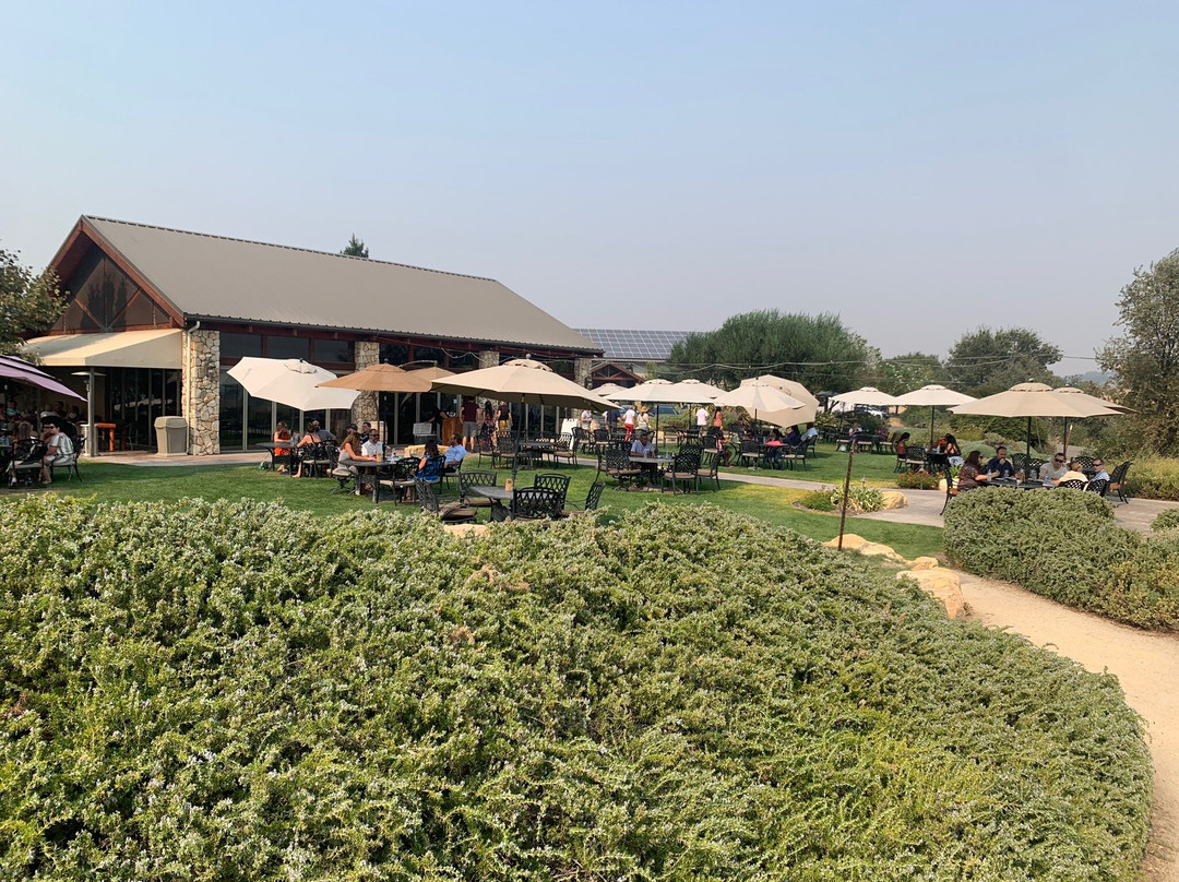 Calcareous Vineyard景点图片