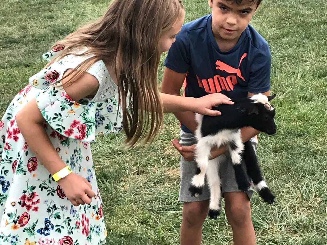 Lawyer's Winterbrook Farm