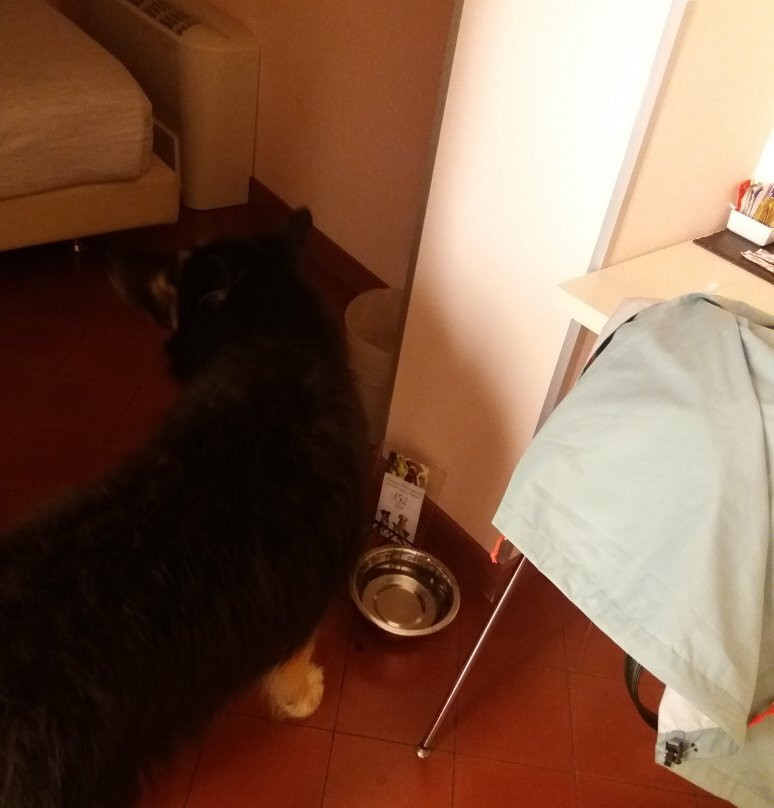 Hotel Forlanini52主图