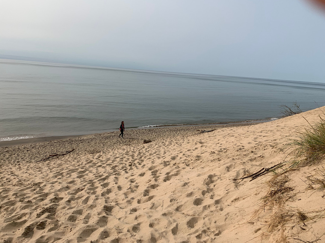 Saugatuck Dunes State Park景点图片