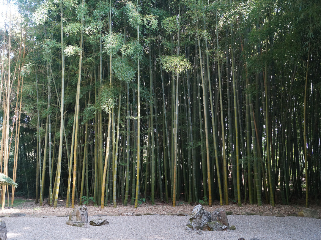 Le Jardin de Planbuisson景点图片