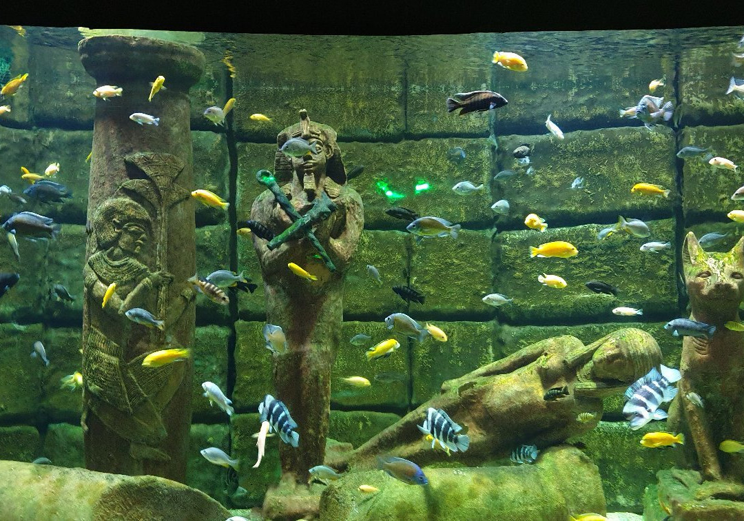 Antalya Aquarium景点图片