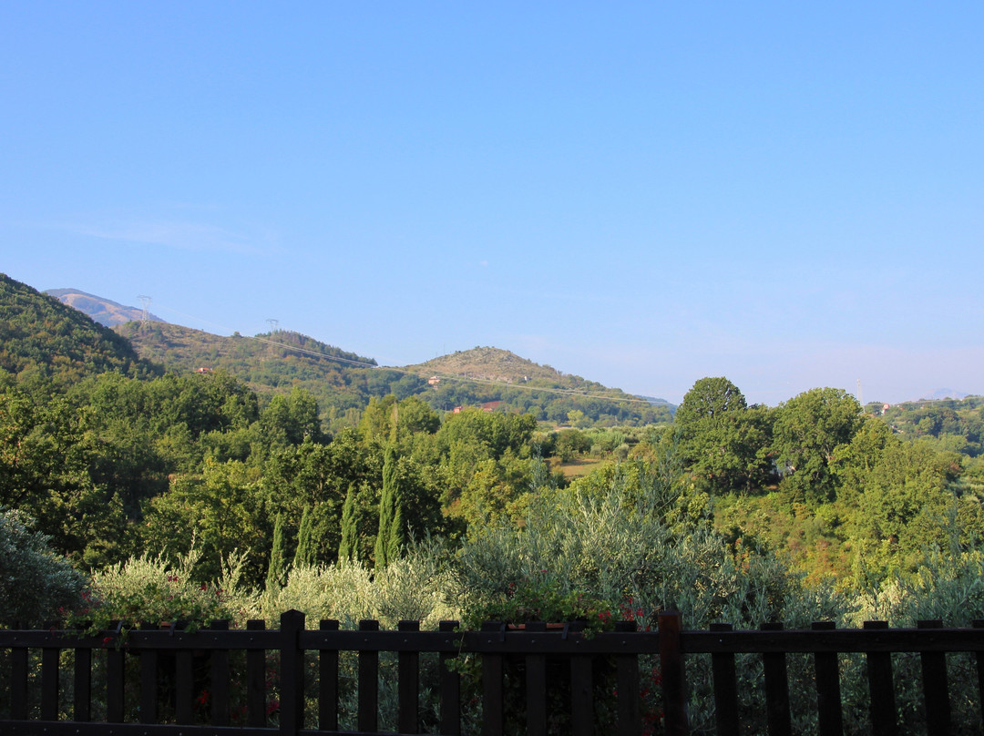 Agriturismo Fiore主图