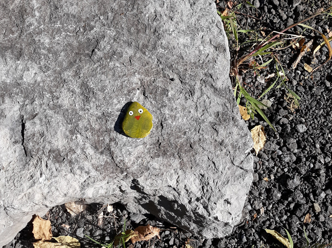 Mulholland Wildflower Preserve-伊萨卡必去景点