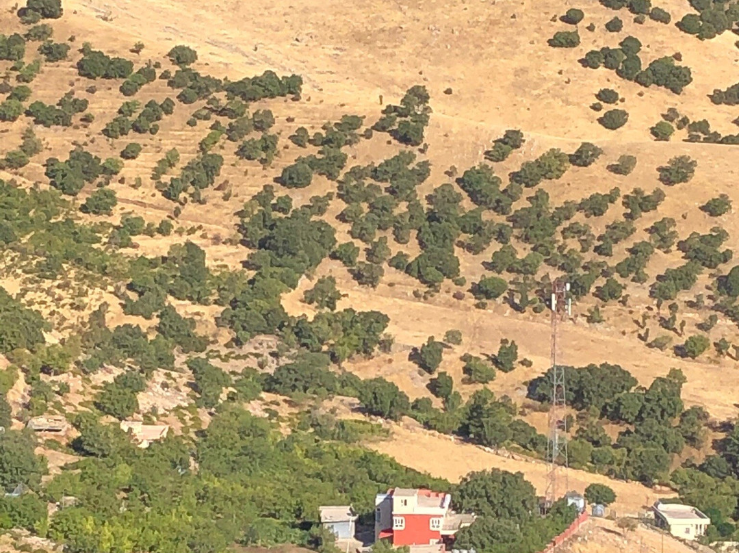 Piramagrun Mountain-苏莱曼尼亚必去景点