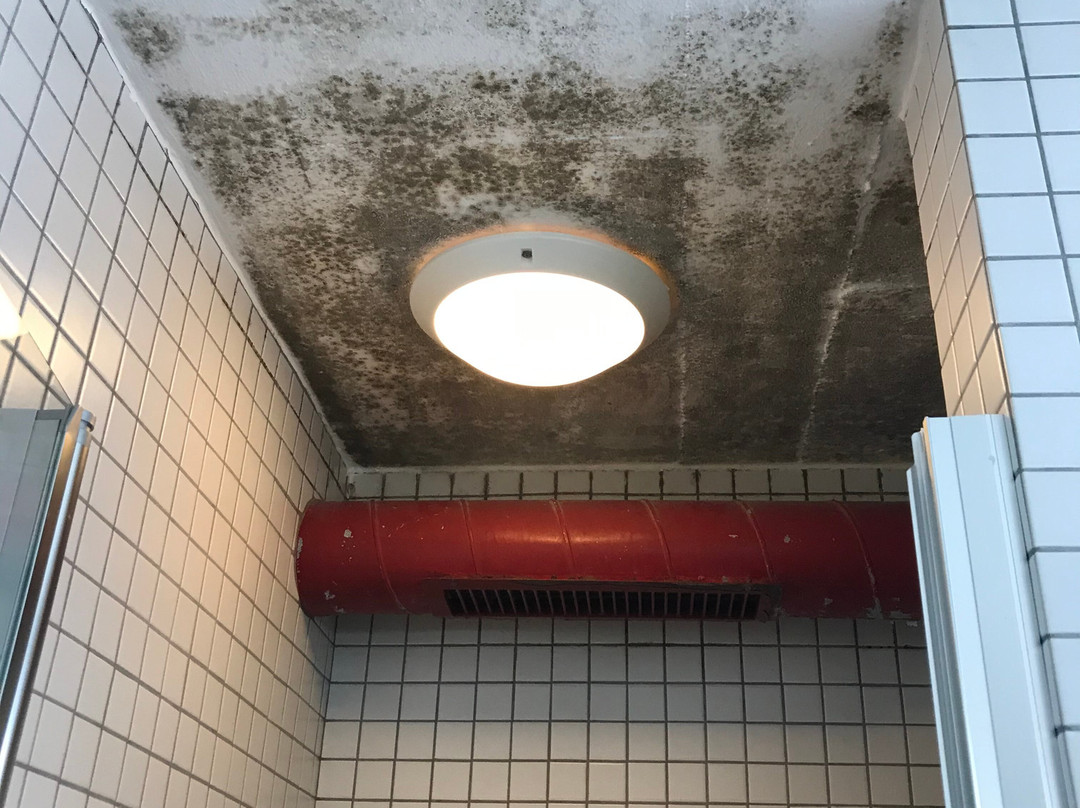 Berghaus Diavolezza主图