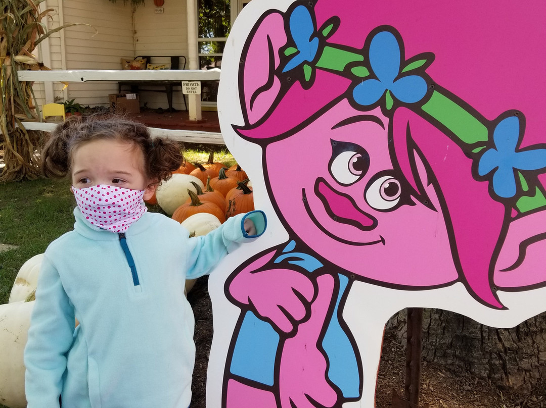 Sonny Acres Farm-West Chicago必去景点