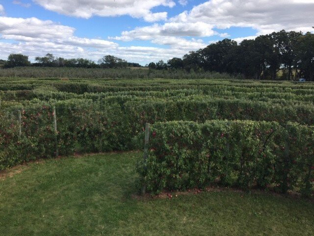 Royal Oak Farm Orchard-Harvard必去景点