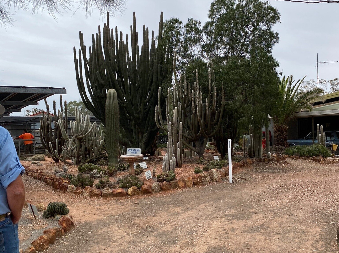 Black Opal Tours-Lightning Ridge必去景点