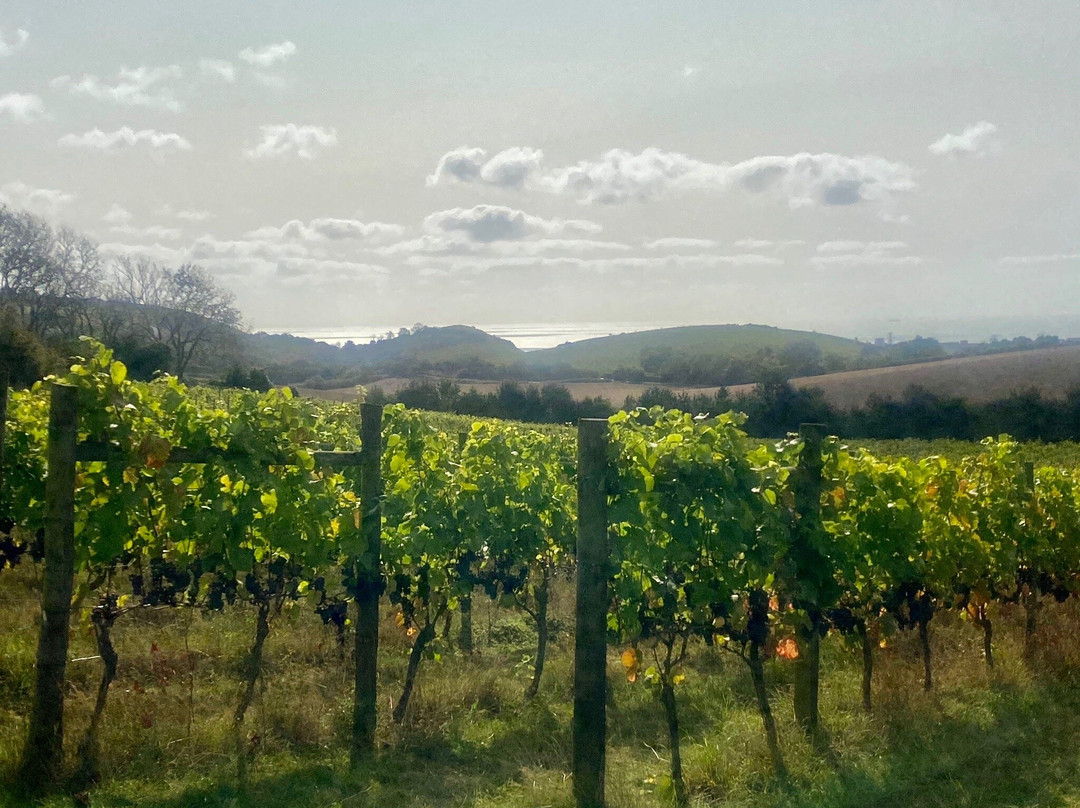 Terlingham Vineyard-Hawkinge必去景点
