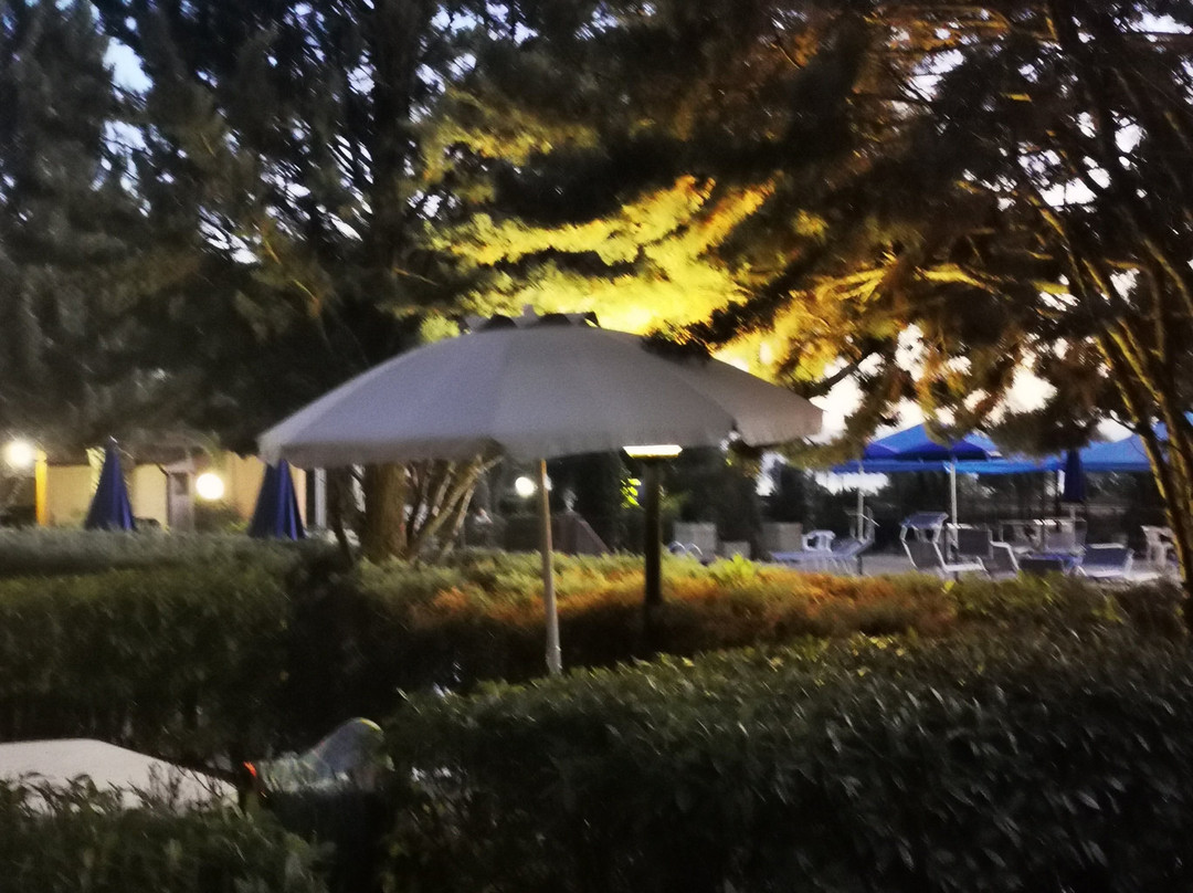 Hotel Il Gabbiano主图