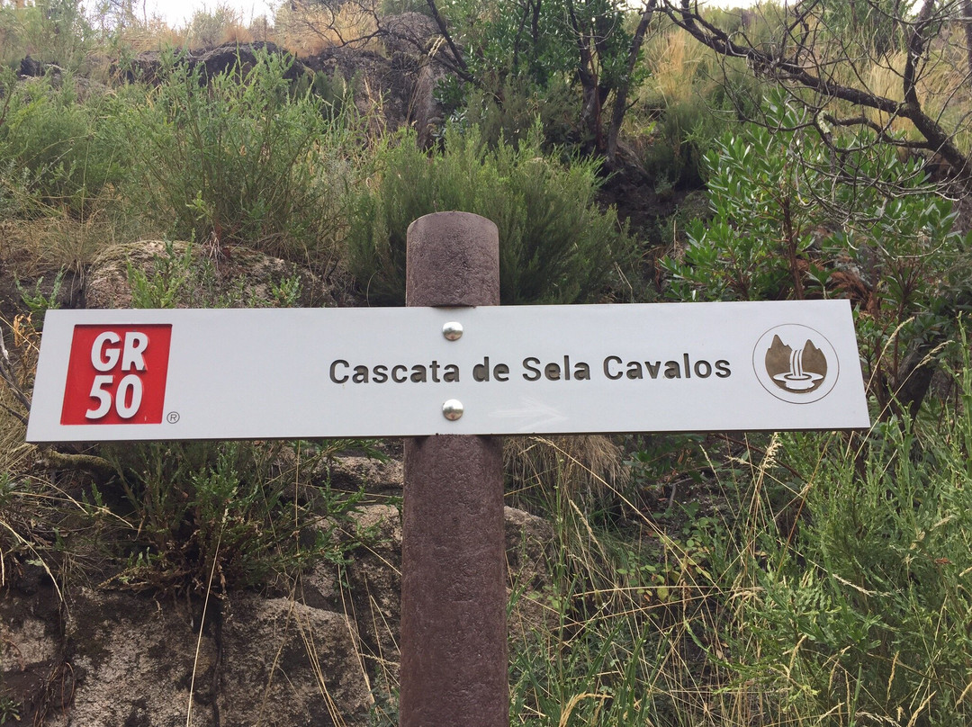 Pincaes Cascate景点图片