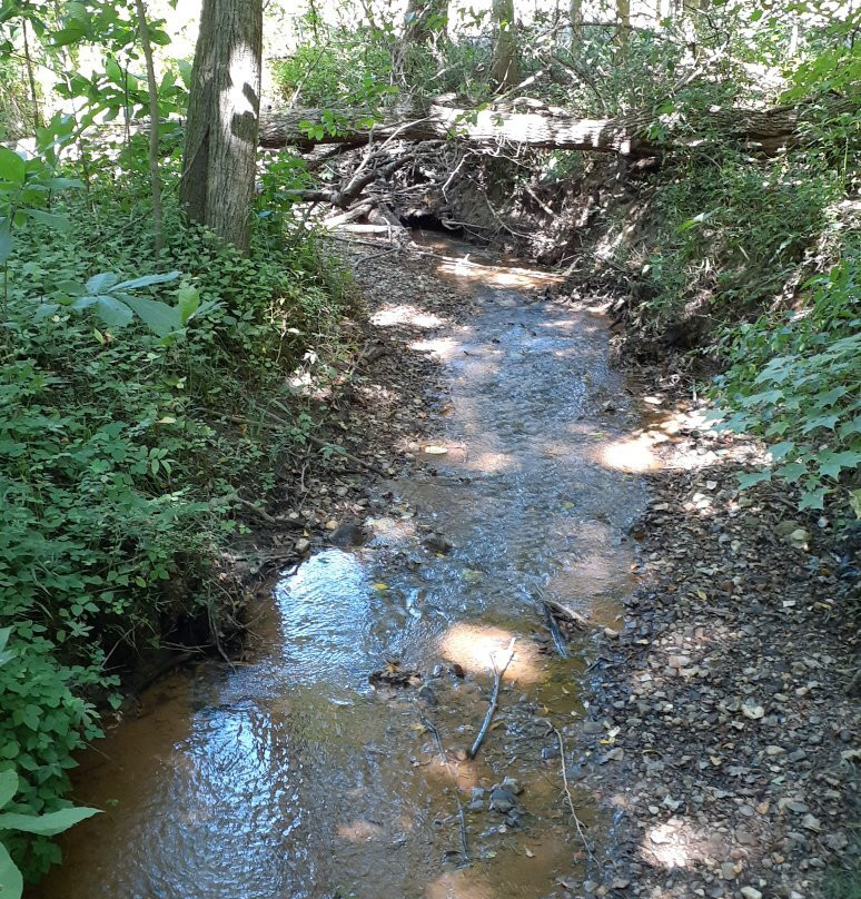 Meadowbrook Nature Preserve景点图片