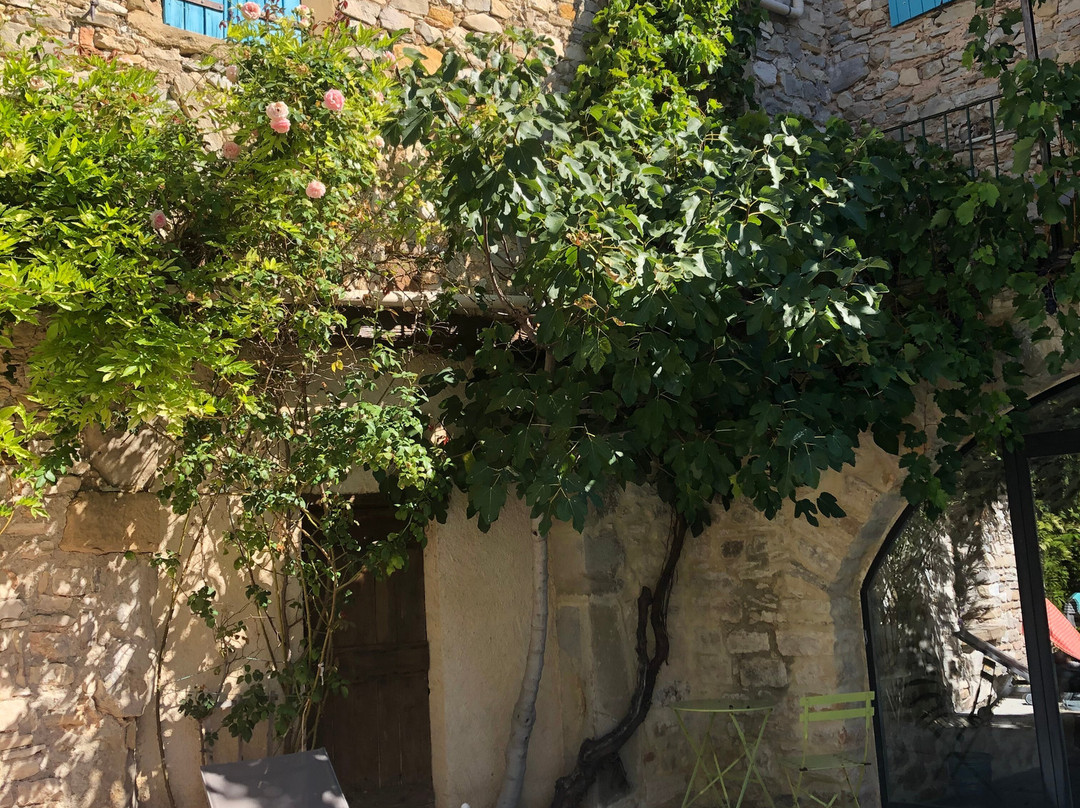 Saint-Jean-de-Ceyrargues旅游攻略图片