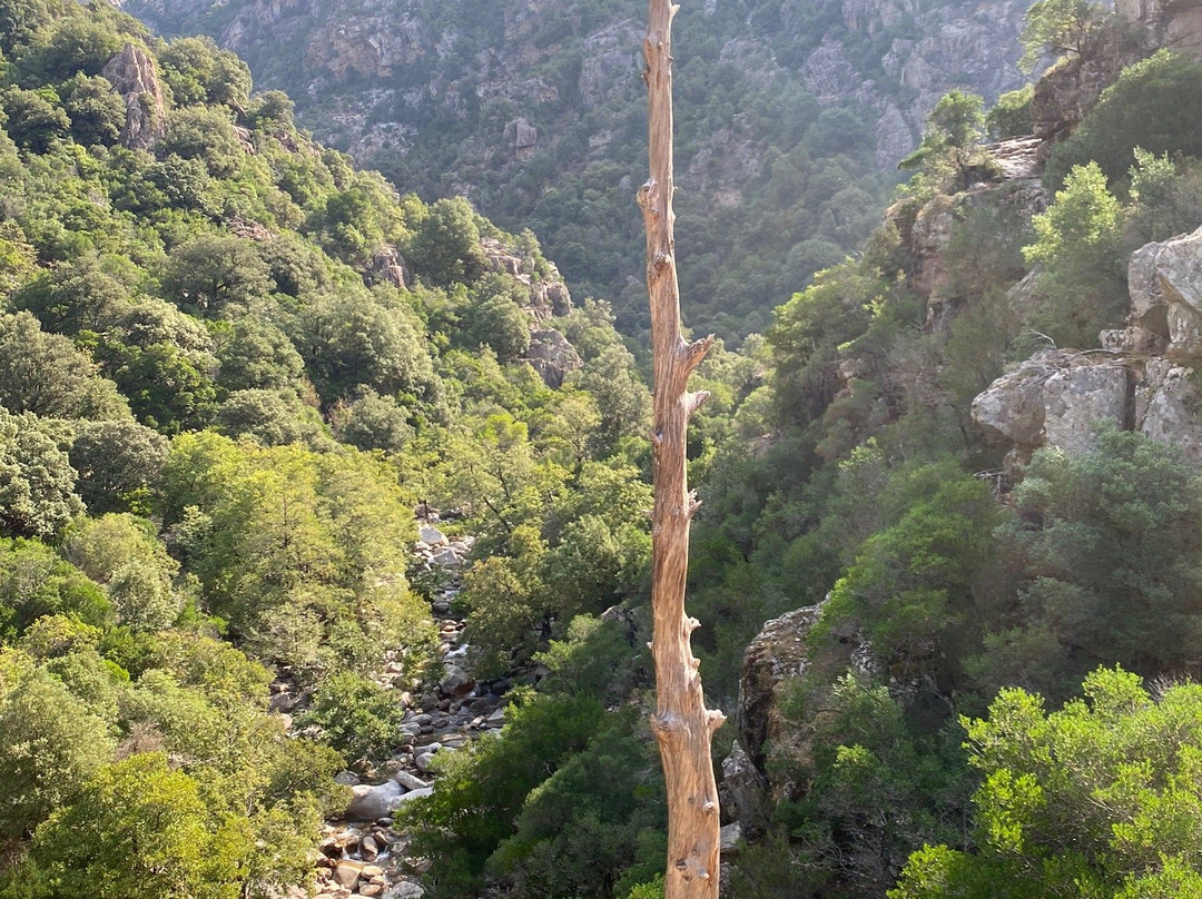 Gorges de la Spelunca-科西嘉必去景点