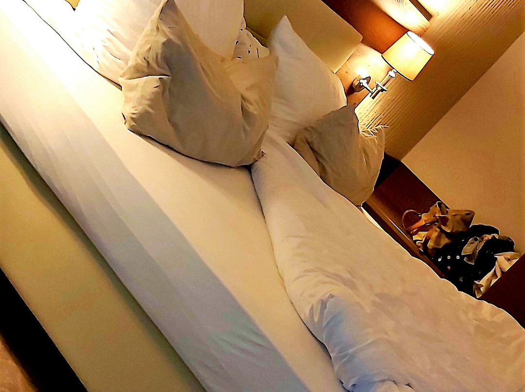 巴特黑雷纳尔布贝斯特韦斯特酒店主图