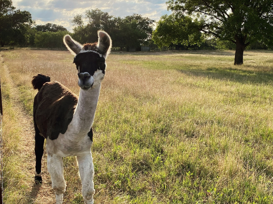 Kalasi Cellars-弗雷德里克斯堡必去景点